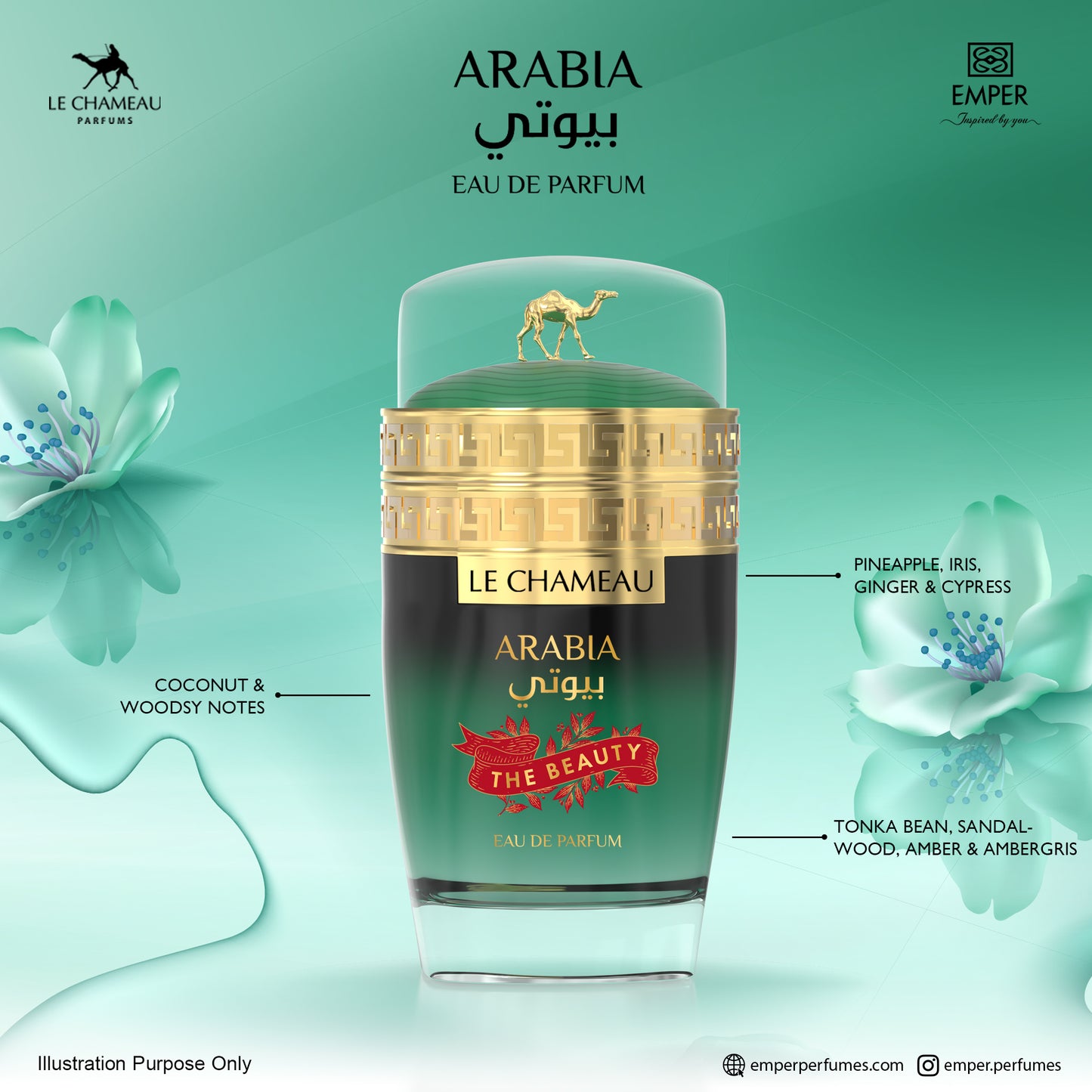 Arabia The Beauty