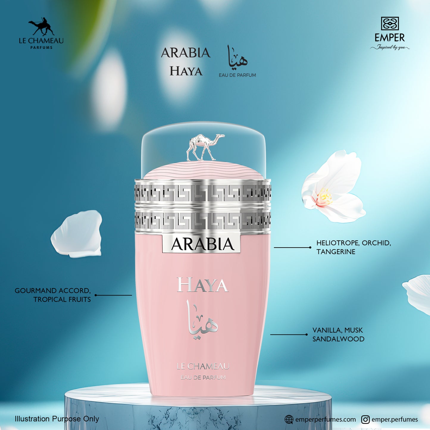 Arabia Haya